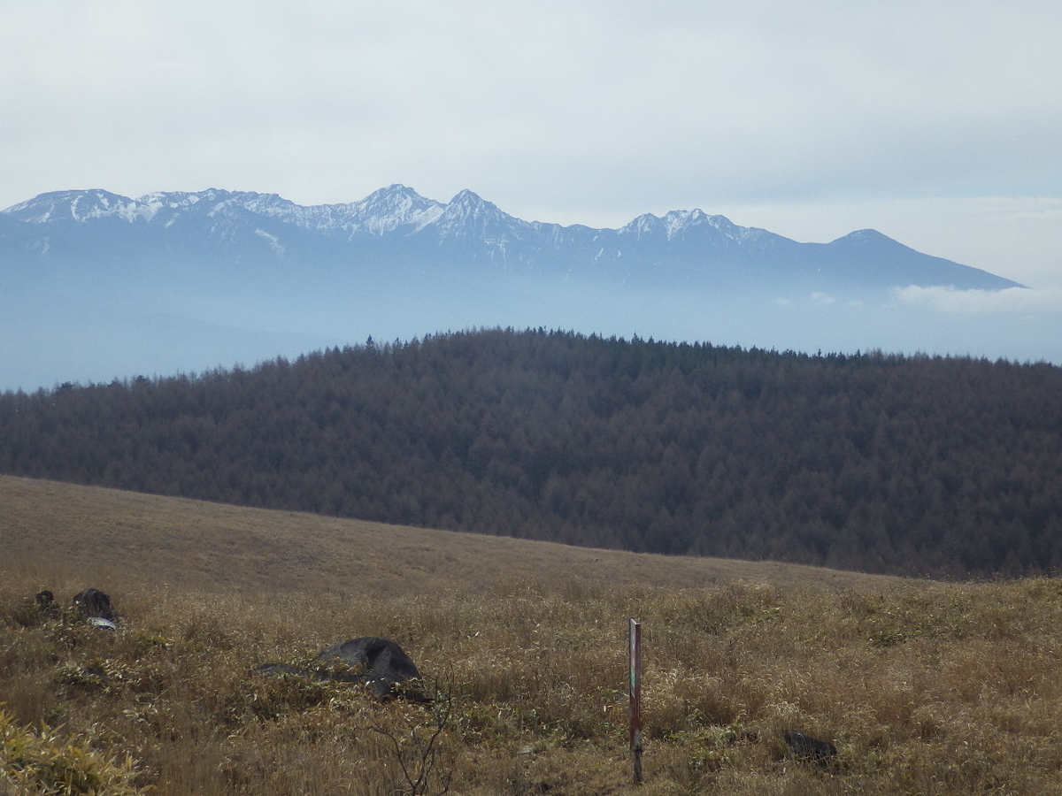 f:id:mannenNA:20200506205102j:plain