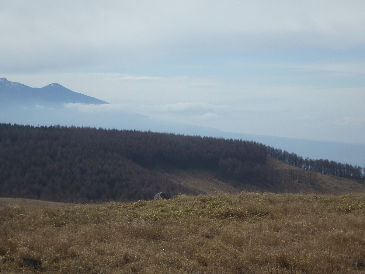 f:id:mannenNA:20200506205125j:plain