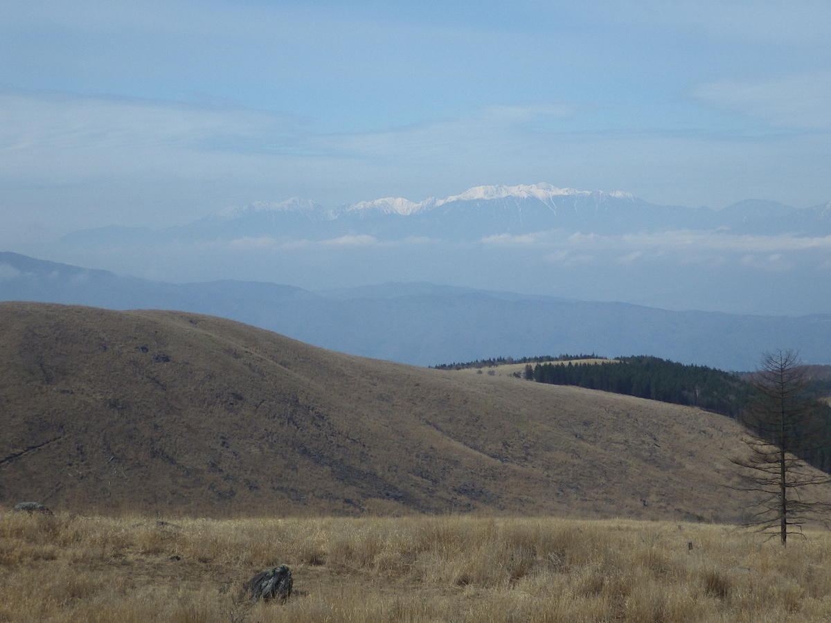 f:id:mannenNA:20200506205245j:plain