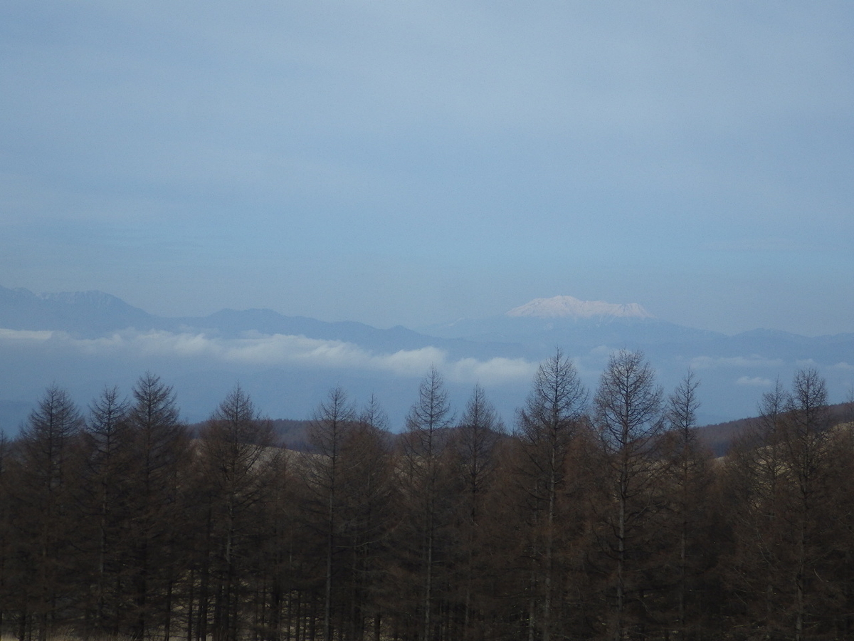 f:id:mannenNA:20200506205317j:plain