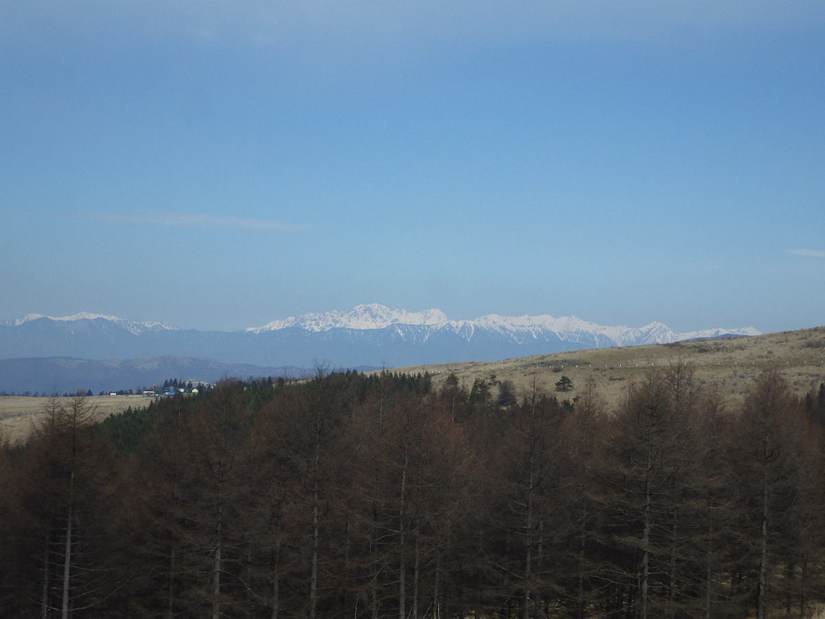 f:id:mannenNA:20200506205507j:plain