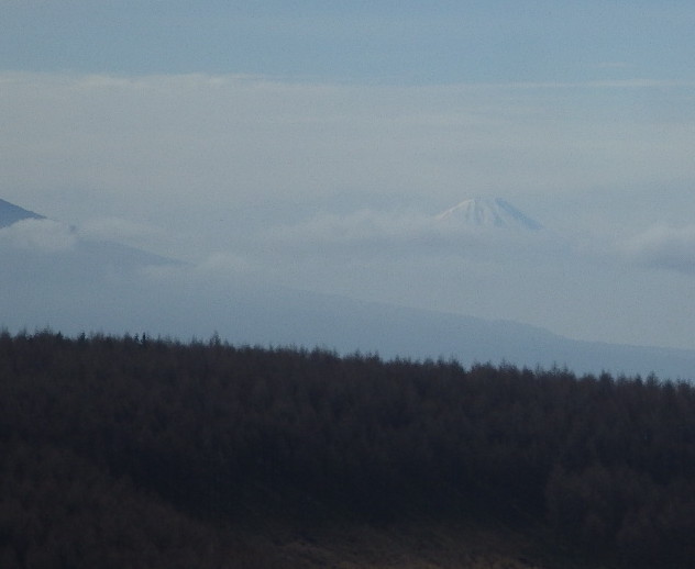 f:id:mannenNA:20200506205945j:plain