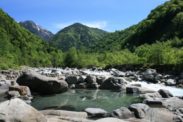 f:id:mannenNA:20200510195026j:plain