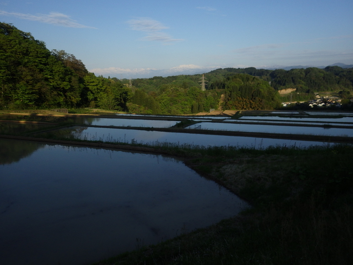 f:id:mannenNA:20200511190105j:plain