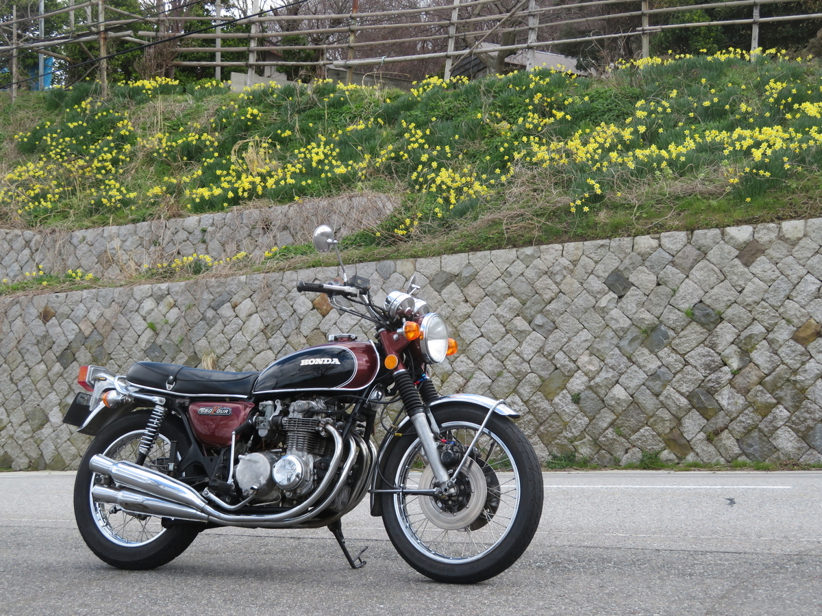 f:id:mannenNA:20200515155311j:plain f:id:mannenNA:20200515155311j:plain