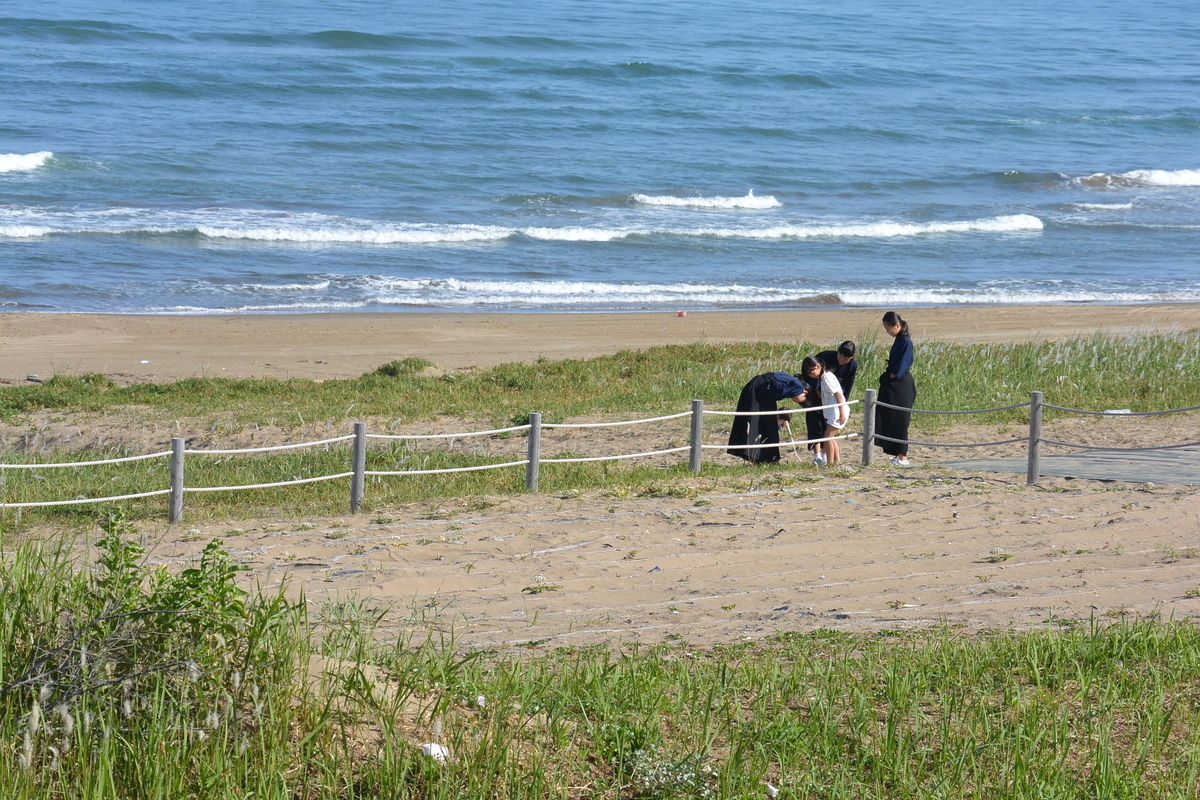 f:id:mannenNA:20200518205147j:plain