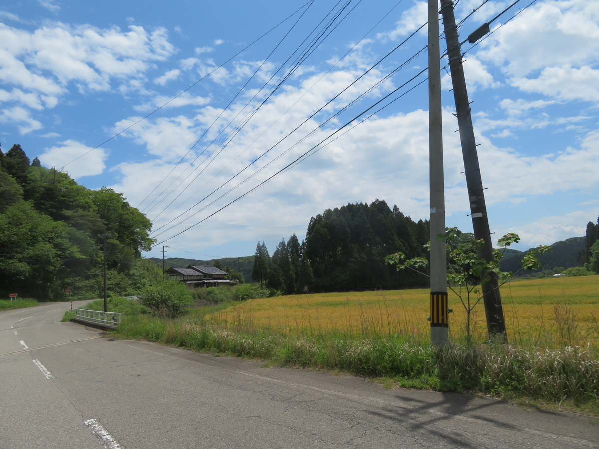 f:id:mannenNA:20200525202454j:plain f:id:mannenNA:20200525202454j:plain