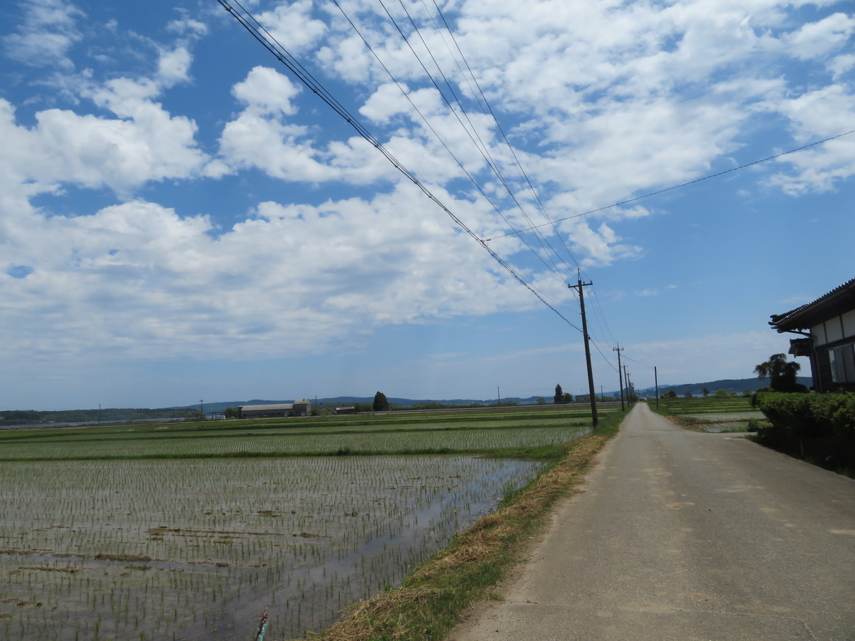 f:id:mannenNA:20200525202545j:plain f:id:mannenNA:20200525202545j:plain