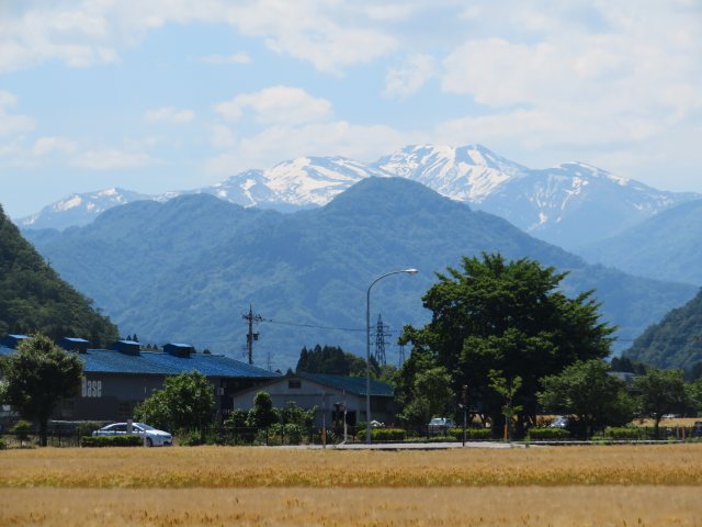 f:id:mannenNA:20200602202601j:plain