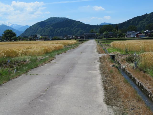 f:id:mannenNA:20200602202627j:plain