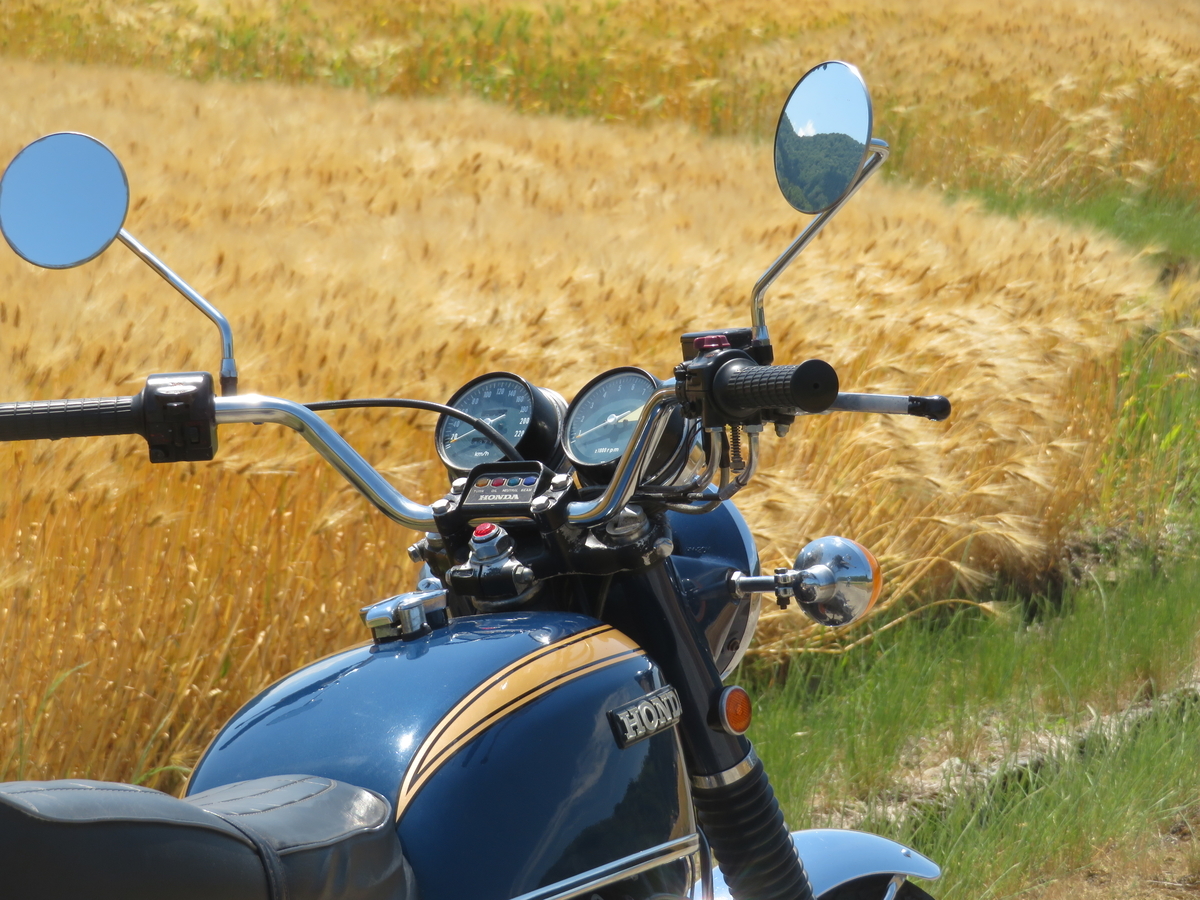 f:id:mannenNA:20200602202813j:plain