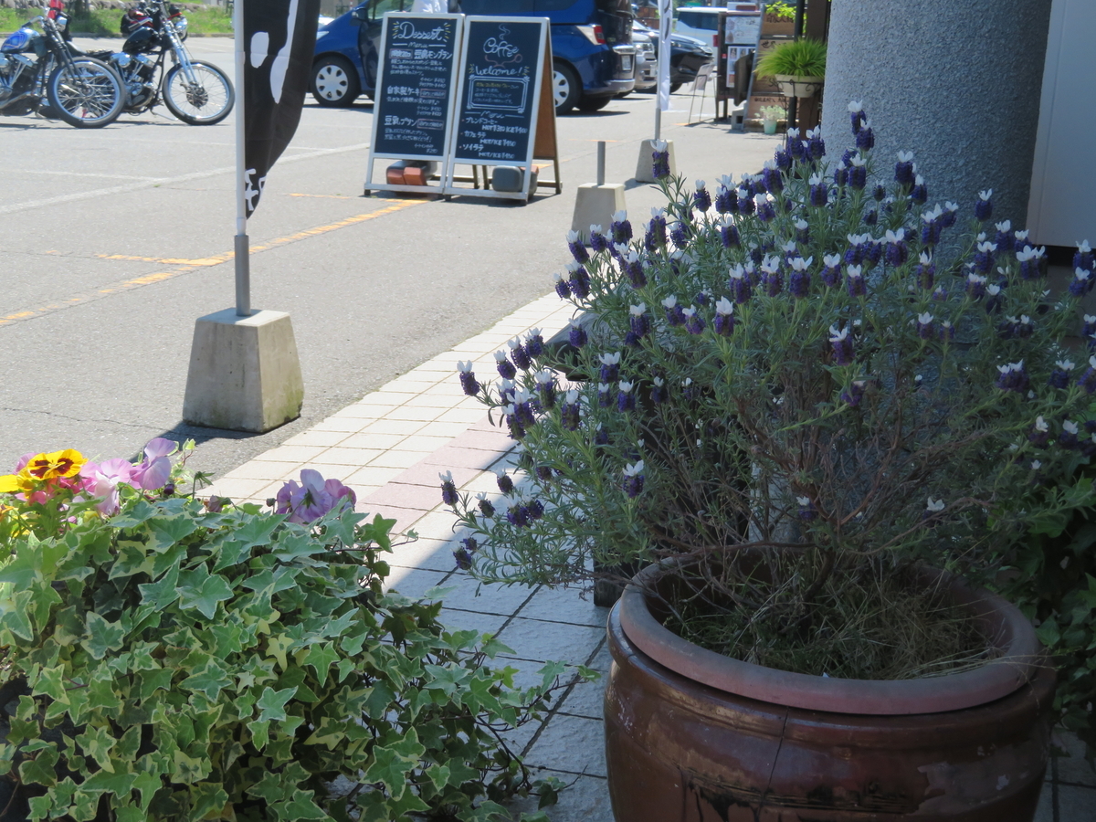 f:id:mannenNA:20200602202957j:plain