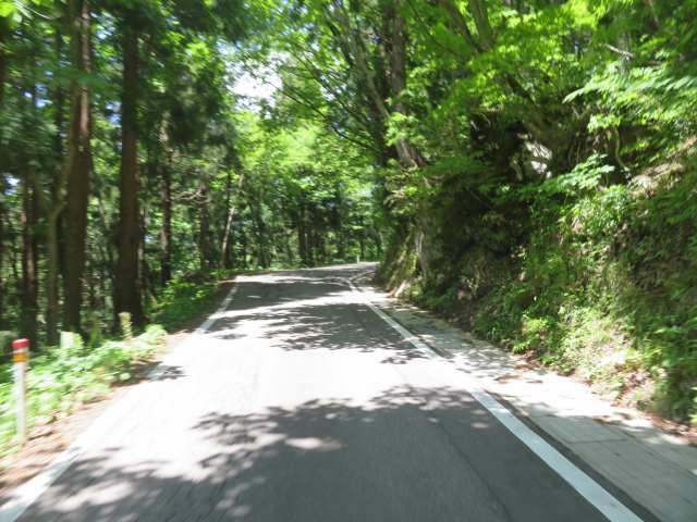 f:id:mannenNA:20200603194842j:plain