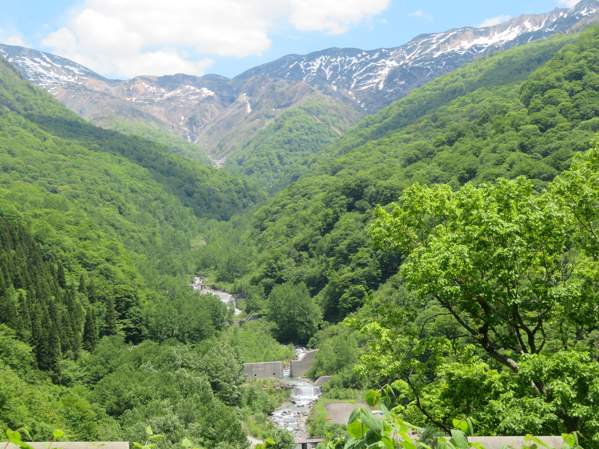 f:id:mannenNA:20200603194946j:plain