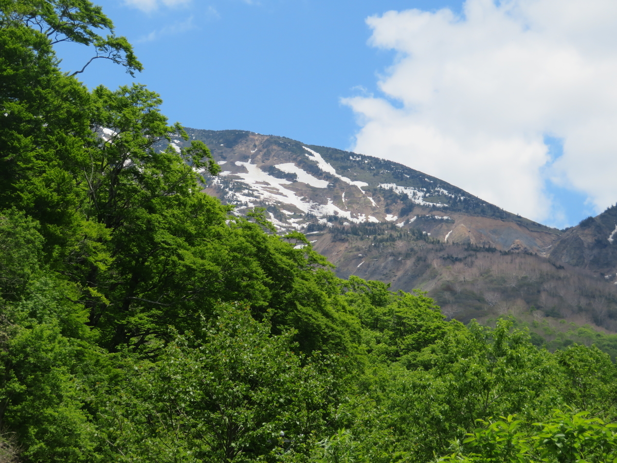 f:id:mannenNA:20200603195359j:plain