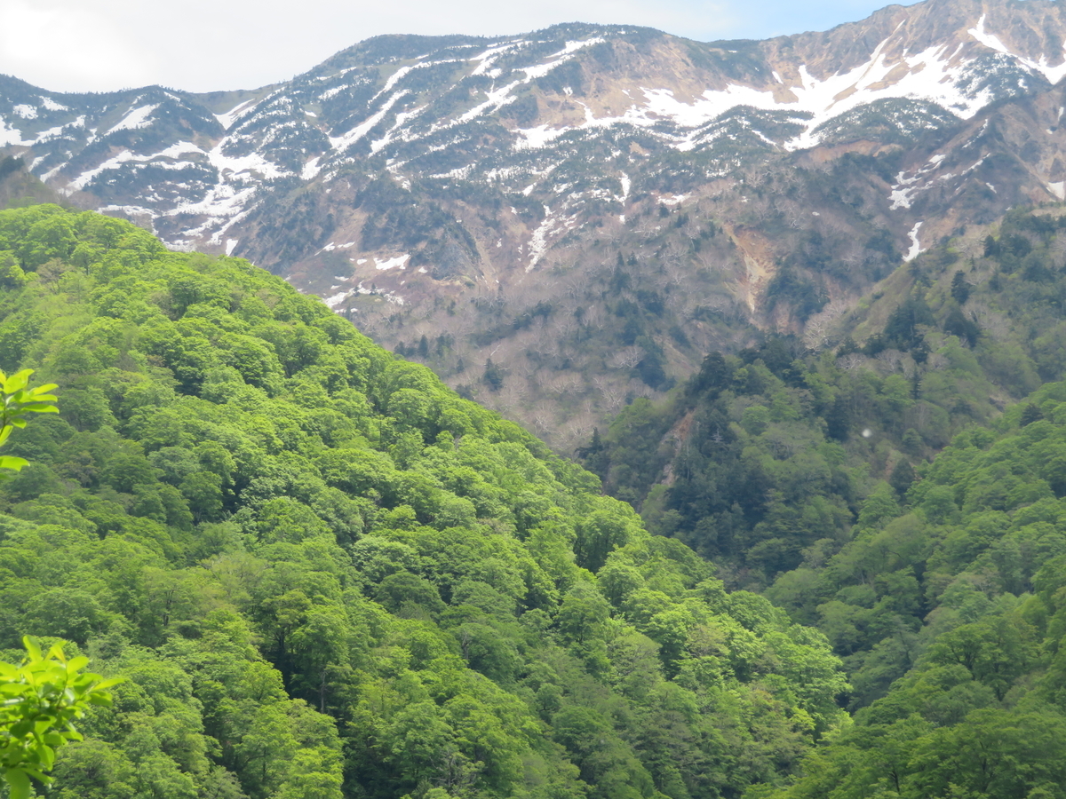 f:id:mannenNA:20200603195447j:plain