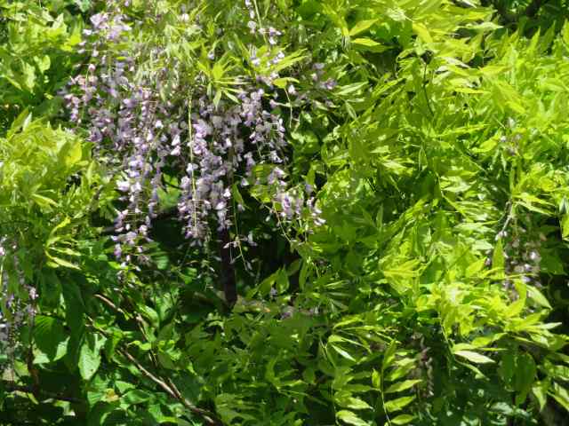 f:id:mannenNA:20200603195748j:plain