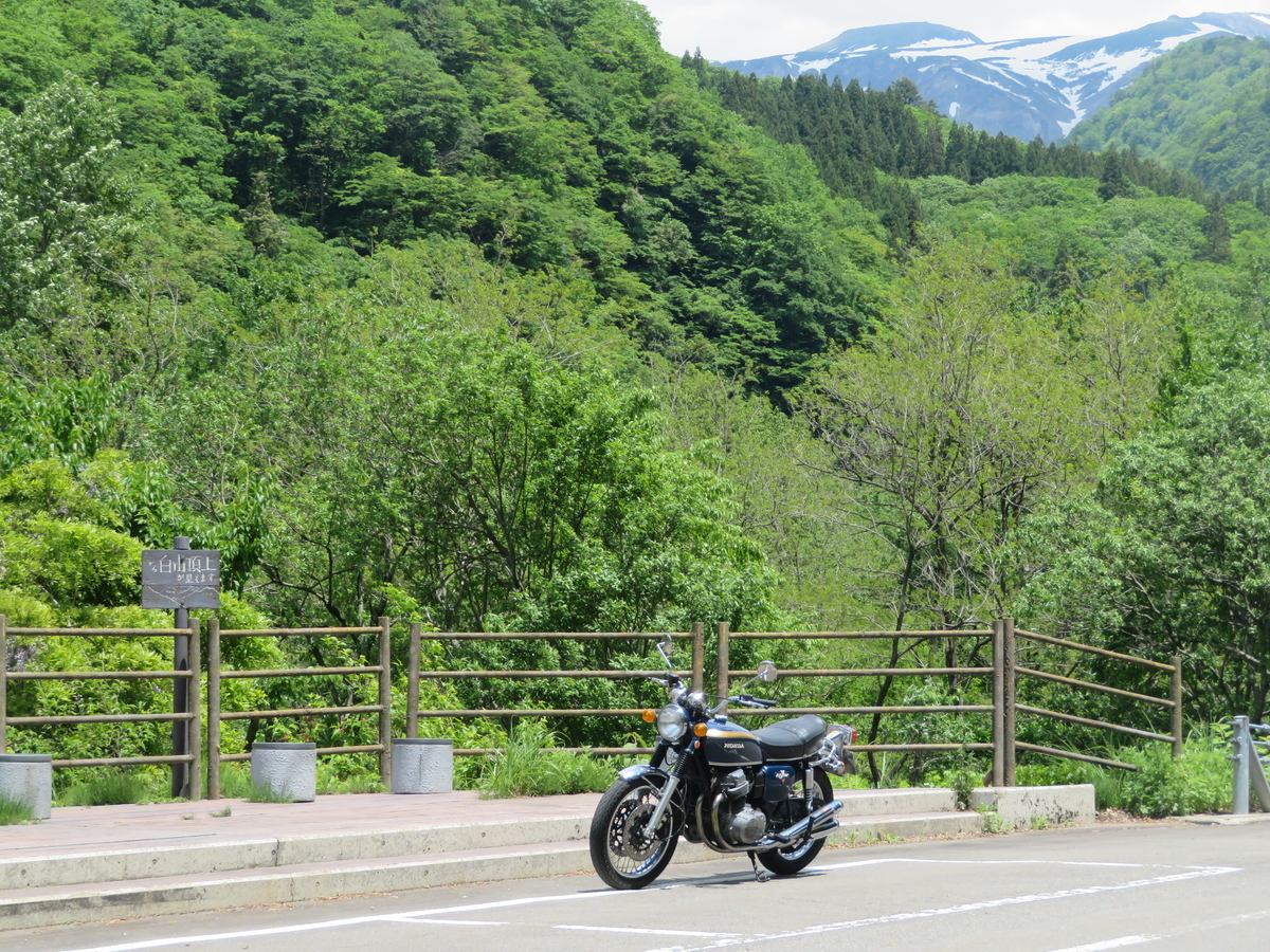 f:id:mannenNA:20200603195927j:plain