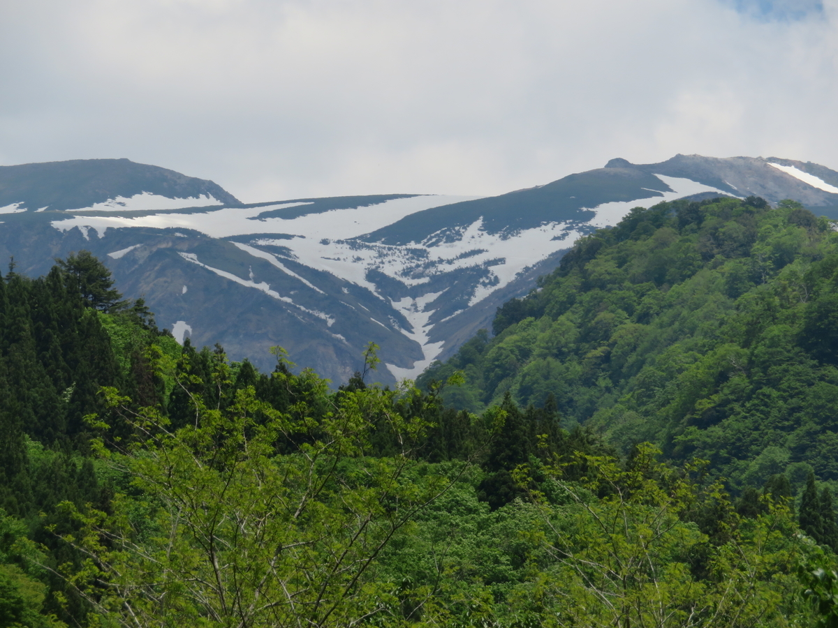 f:id:mannenNA:20200603200251j:plain