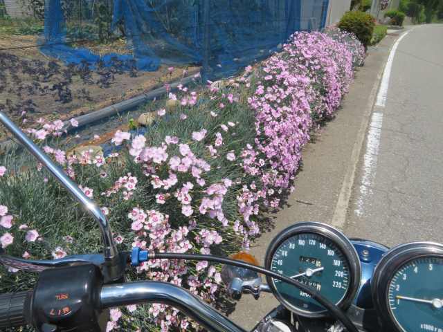 f:id:mannenNA:20200603200413j:plain