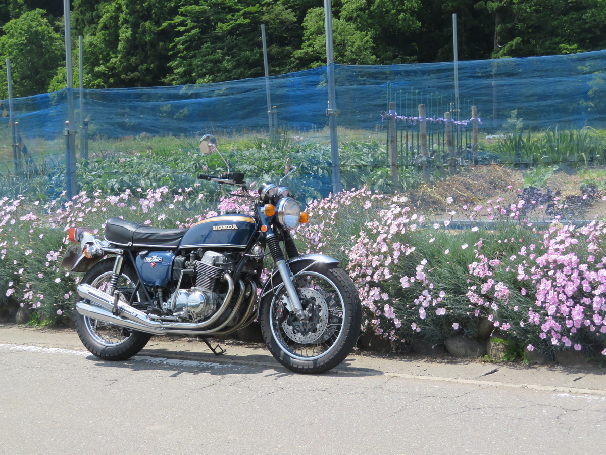 f:id:mannenNA:20200603200834j:plain