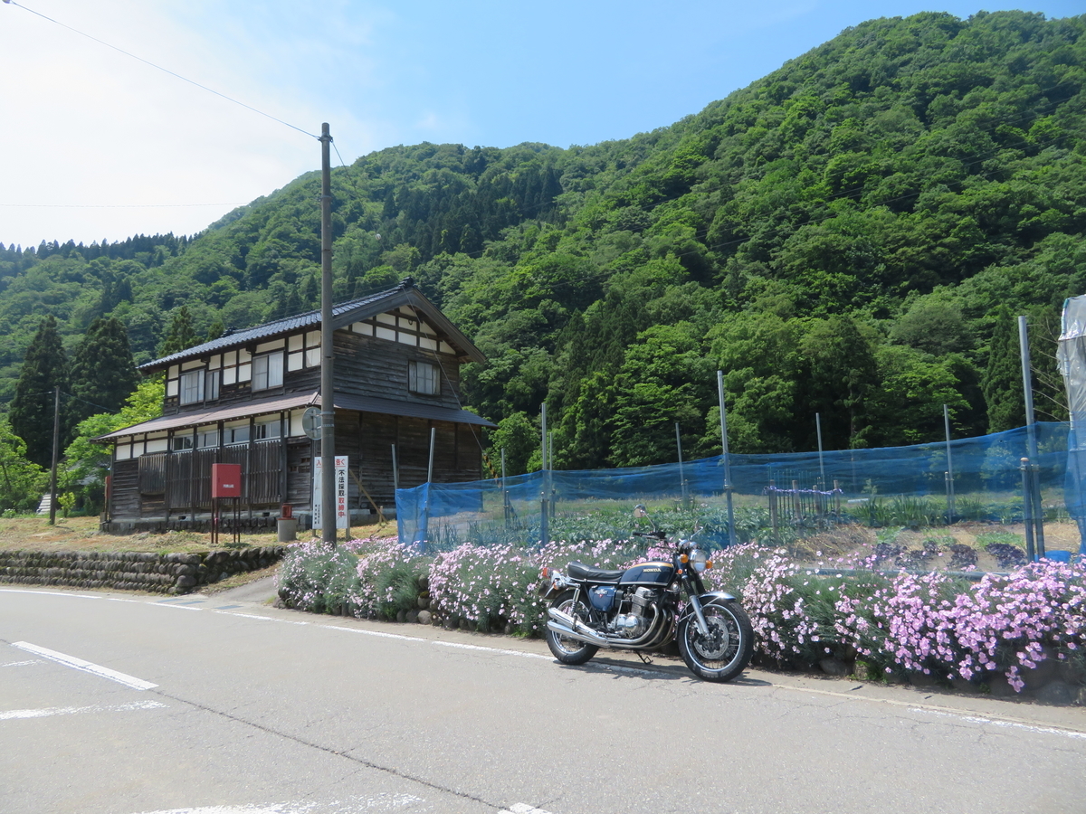 f:id:mannenNA:20200603200927j:plain