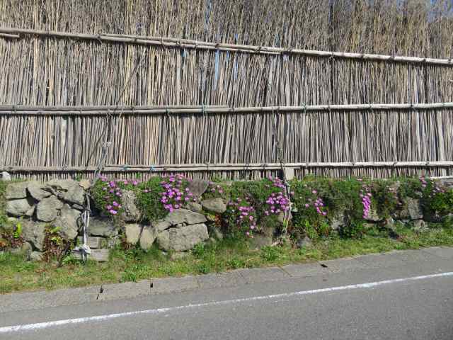 f:id:mannenNA:20200607193621j:plain