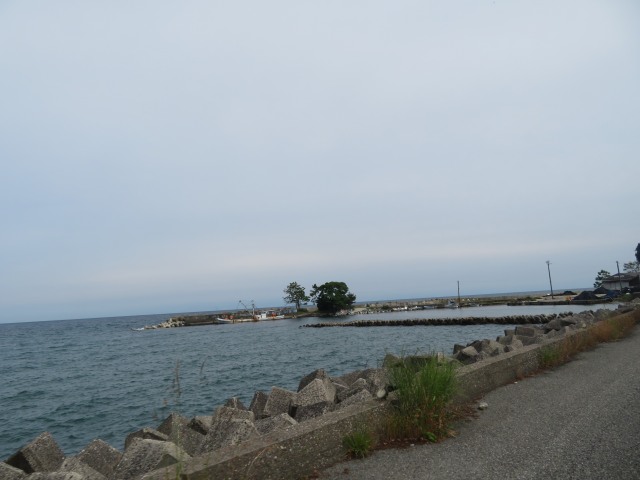 f:id:mannenNA:20200615185455j:plain