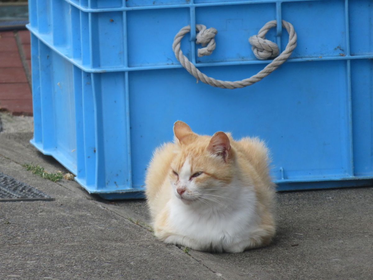 f:id:mannenNA:20200615191411j:plain