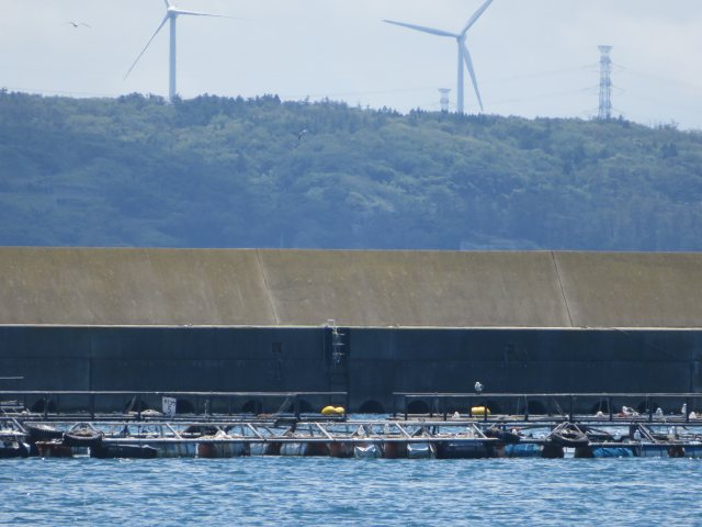 f:id:mannenNA:20200625175042j:plain f:id:mannenNA:20200625175042j:plain