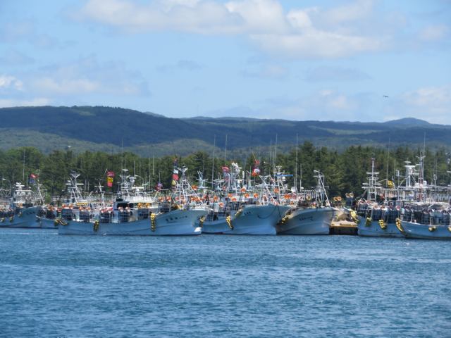 f:id:mannenNA:20200625175346j:plain f:id:mannenNA:20200625175346j:plain