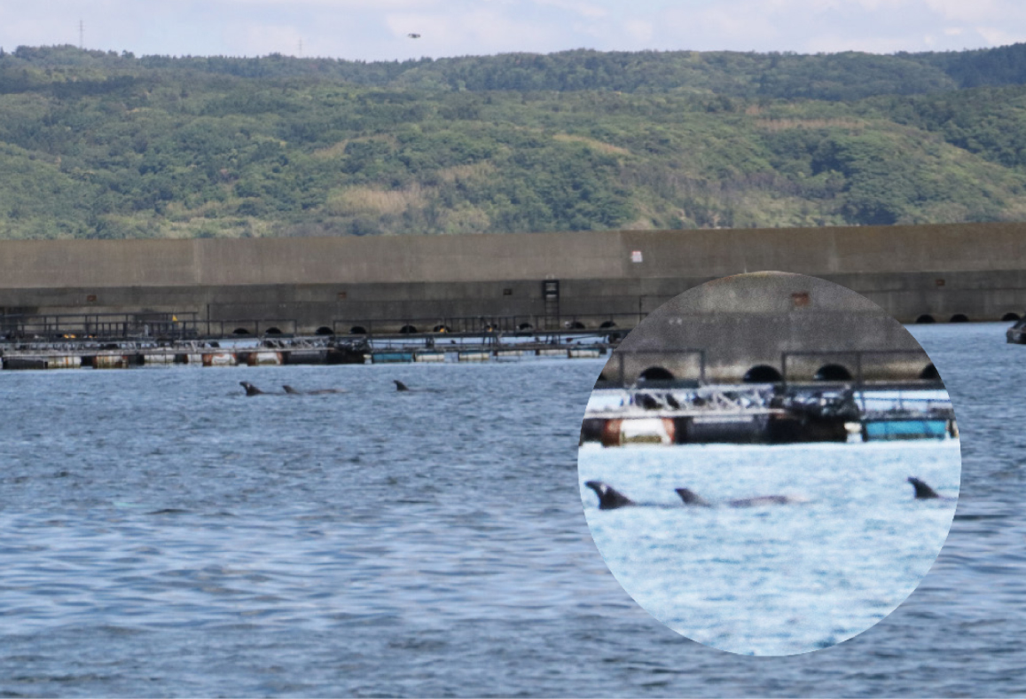 f:id:mannenNA:20200625175711j:plain f:id:mannenNA:20200625175711j:plain