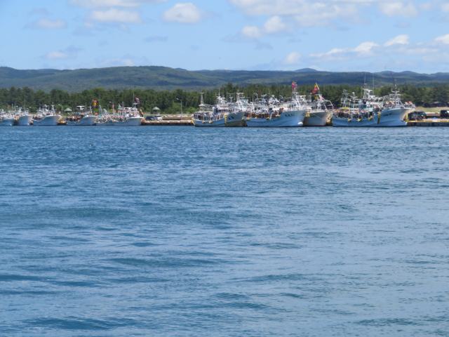 f:id:mannenNA:20200625181424j:plain f:id:mannenNA:20200625181424j:plain