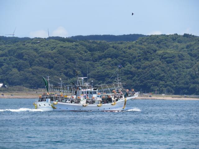 f:id:mannenNA:20200625181628j:plain f:id:mannenNA:20200625181628j:plain