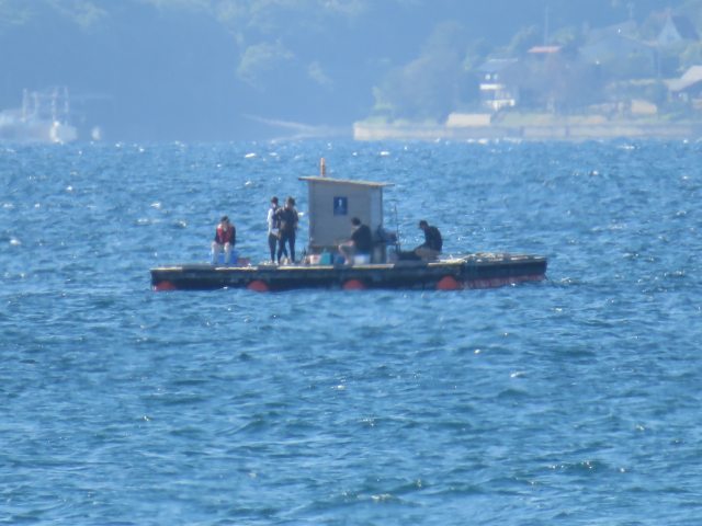 f:id:mannenNA:20200702202244j:plain f:id:mannenNA:20200702202244j:plain