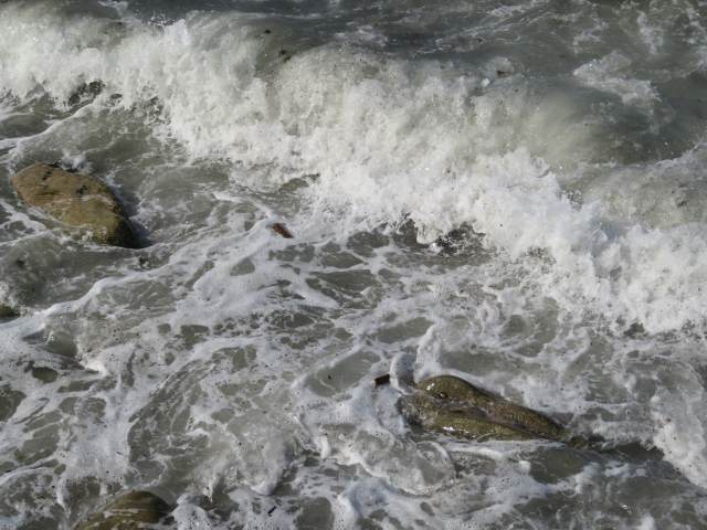 f:id:mannenNA:20200702202444j:plain f:id:mannenNA:20200702202444j:plain