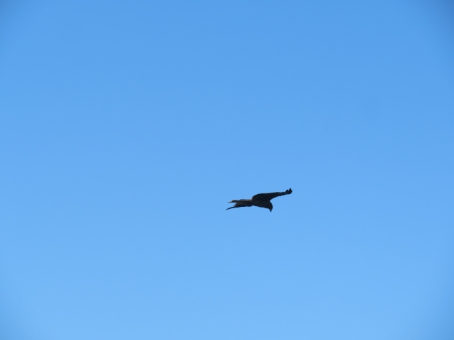 f:id:mannenNA:20200702202827j:plain f:id:mannenNA:20200702202827j:plain