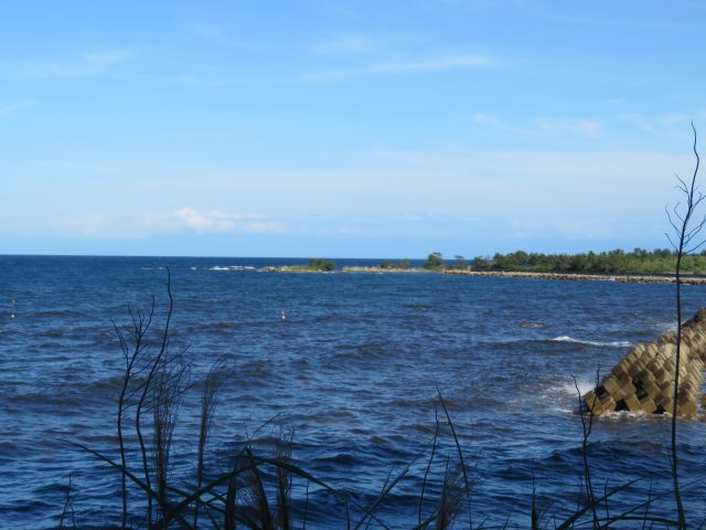 f:id:mannenNA:20200702202902j:plain f:id:mannenNA:20200702202902j:plain