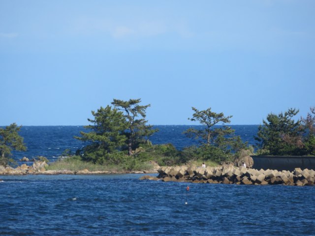 f:id:mannenNA:20200702202925j:plain f:id:mannenNA:20200702202925j:plain