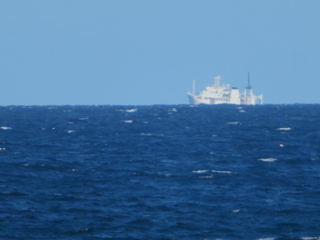 f:id:mannenNA:20200702203035j:plain f:id:mannenNA:20200702203035j:plain