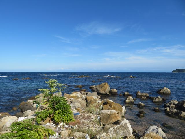 f:id:mannenNA:20200702203231j:plain f:id:mannenNA:20200702203231j:plain