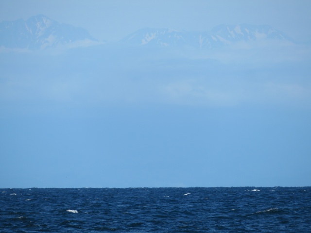 f:id:mannenNA:20200702203326j:plain f:id:mannenNA:20200702203326j:plain