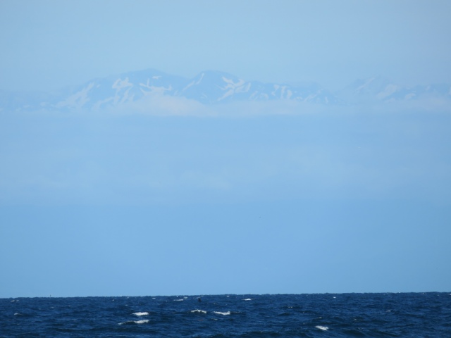 f:id:mannenNA:20200702203353j:plain f:id:mannenNA:20200702203353j:plain