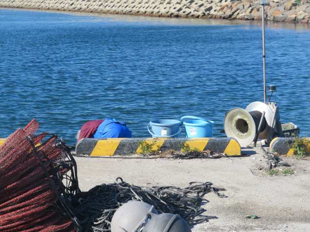 f:id:mannenNA:20200702203633j:plain f:id:mannenNA:20200702203633j:plain