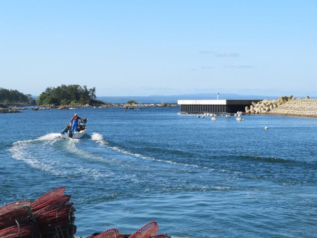 f:id:mannenNA:20200702203944j:plain f:id:mannenNA:20200702203944j:plain