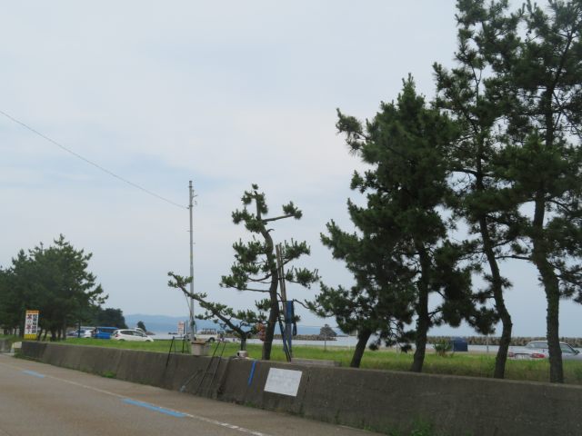 f:id:mannenNA:20200705175122j:plain f:id:mannenNA:20200705175122j:plain