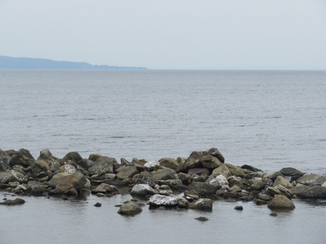 f:id:mannenNA:20200706195736j:plain f:id:mannenNA:20200706195736j:plain