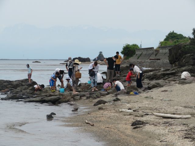 f:id:mannenNA:20200706195819j:plain f:id:mannenNA:20200706195819j:plain