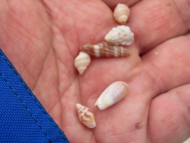 f:id:mannenNA:20200706195837j:plain f:id:mannenNA:20200706195837j:plain