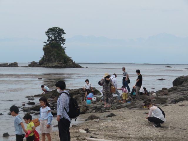 f:id:mannenNA:20200706195855j:plain f:id:mannenNA:20200706195855j:plain